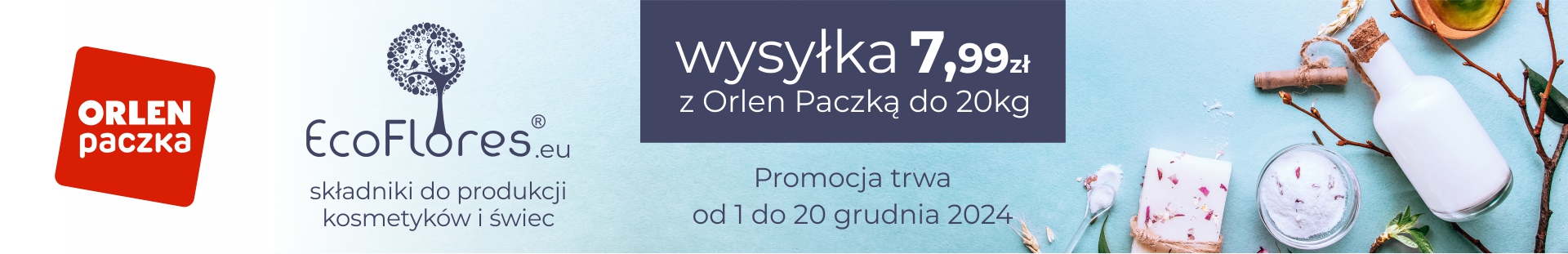 Eco flores – grudzień