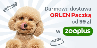 Zoo plus_wrzesień