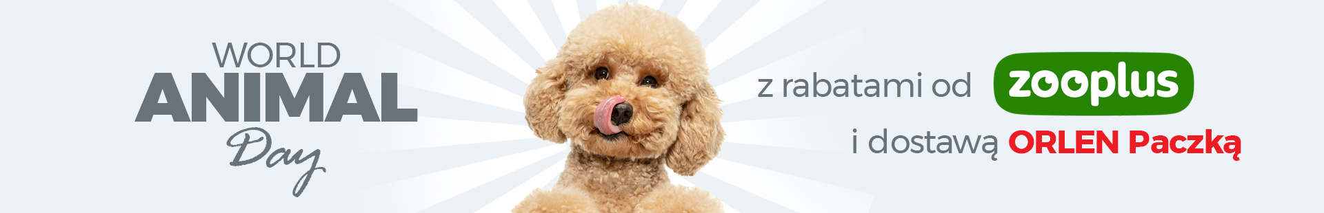Zoo plus_dzień zwierząt